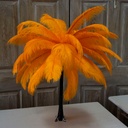 B806--MNG #3 shopify:43693538476283