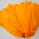 B806--MNG #5 shopify:43693540212987