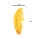 B806--MNG #6 shopify:43693541884155