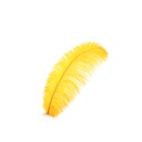 B806--MGD #2 shopify:43693600440571