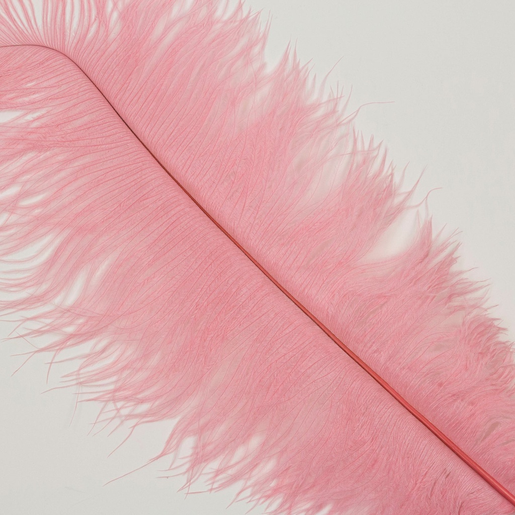 B806--MG-PPR #2 shopify:43693595918587