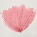 B806--MG-PPR #4 shopify:43693597884667