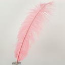 B806--MG-PPR #5 shopify:43693598769403