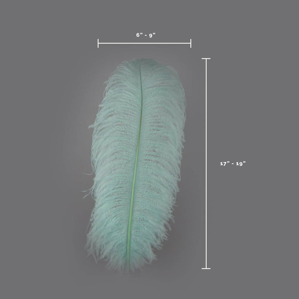 B806--MT #6 shopify:43693457342715