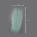 B806--MT #6 shopify:43693457342715
