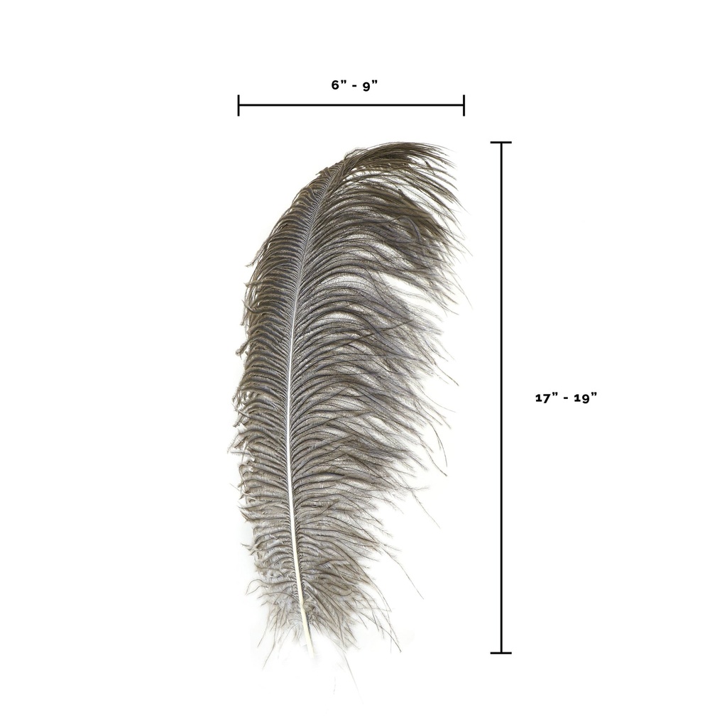 B806--N #7 shopify:43693575536891