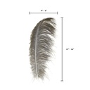 B806--N #7 shopify:43693575536891