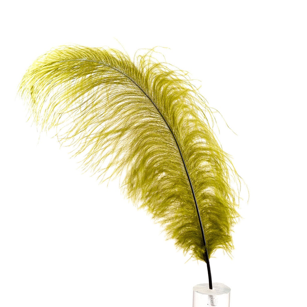 B806--OL #4 shopify:43693657555195