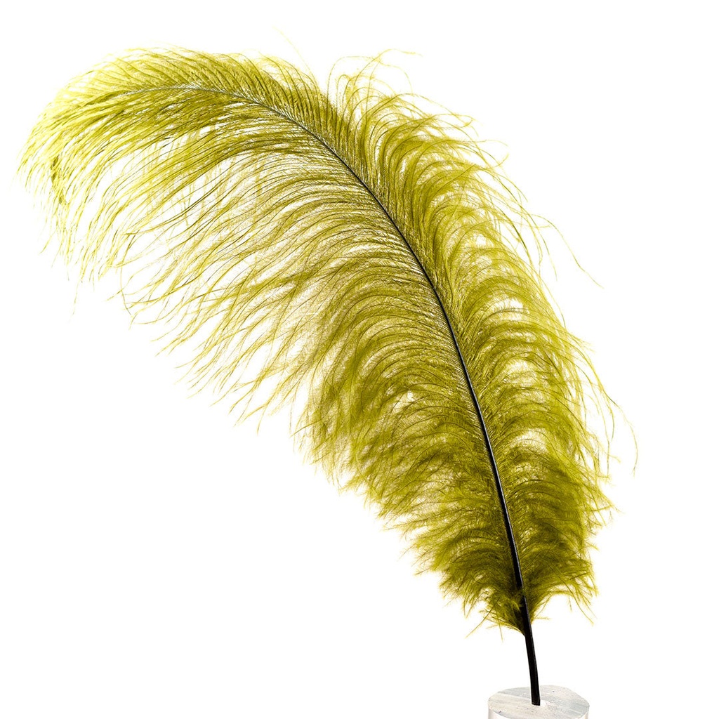 B806--OL #5 shopify:43693657850107