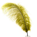 B806--OL #5 shopify:43693657850107