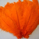 B806--O #4 shopify:43693695402235