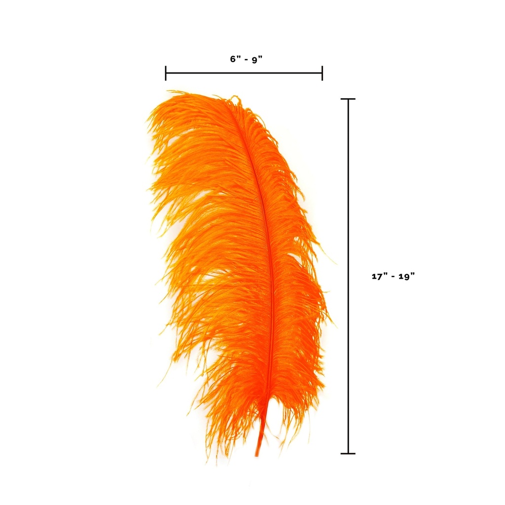 B806--O #5 shopify:43693696123131