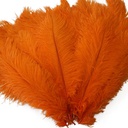 B806--O #9 shopify:43693699563771
