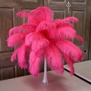B806--PO #3 shopify:43693642580219