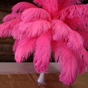 B806--PO #4 shopify:43693643432187
