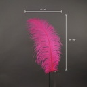 B806--PO #7 shopify:43693645758715