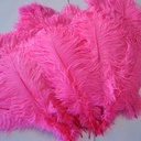 B806--PO #9 shopify:43693647233275