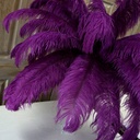B806--PU #4 shopify:43693588087035