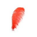 B806--R #2 shopify:43693660012795
