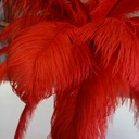 B806--R #4 shopify:43693661290747