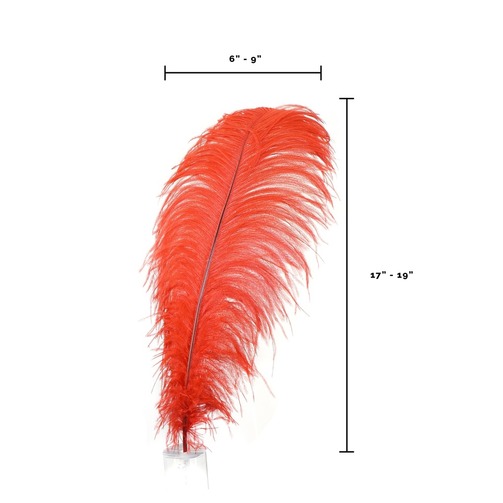 B806--R #5 shopify:43693661946107