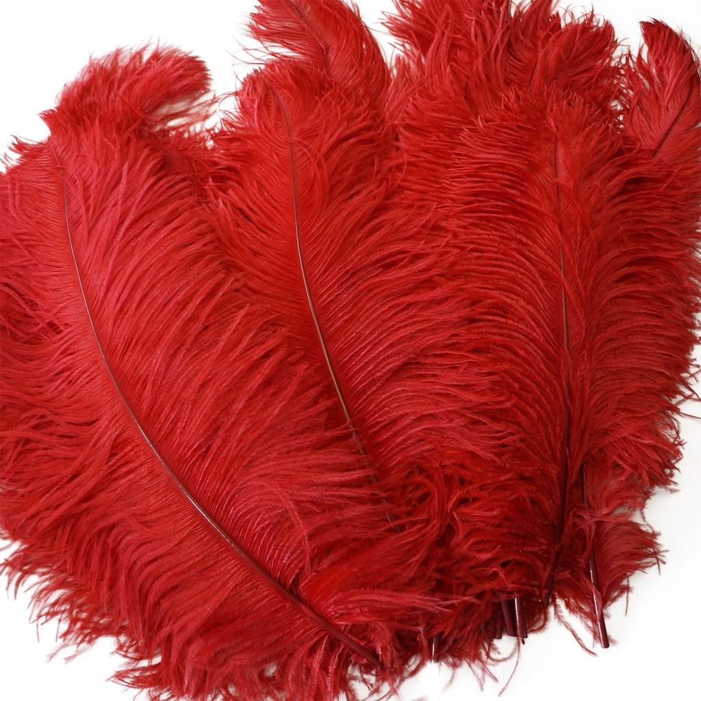 B806--R #7 shopify:43693663453435