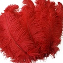 B806--R #7 shopify:43693663453435