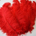 B806--R #9 shopify:43693664469243