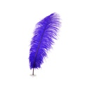 B806--RE #2 shopify:43693471236347