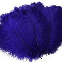 B806--RE #7 shopify:43693476086011