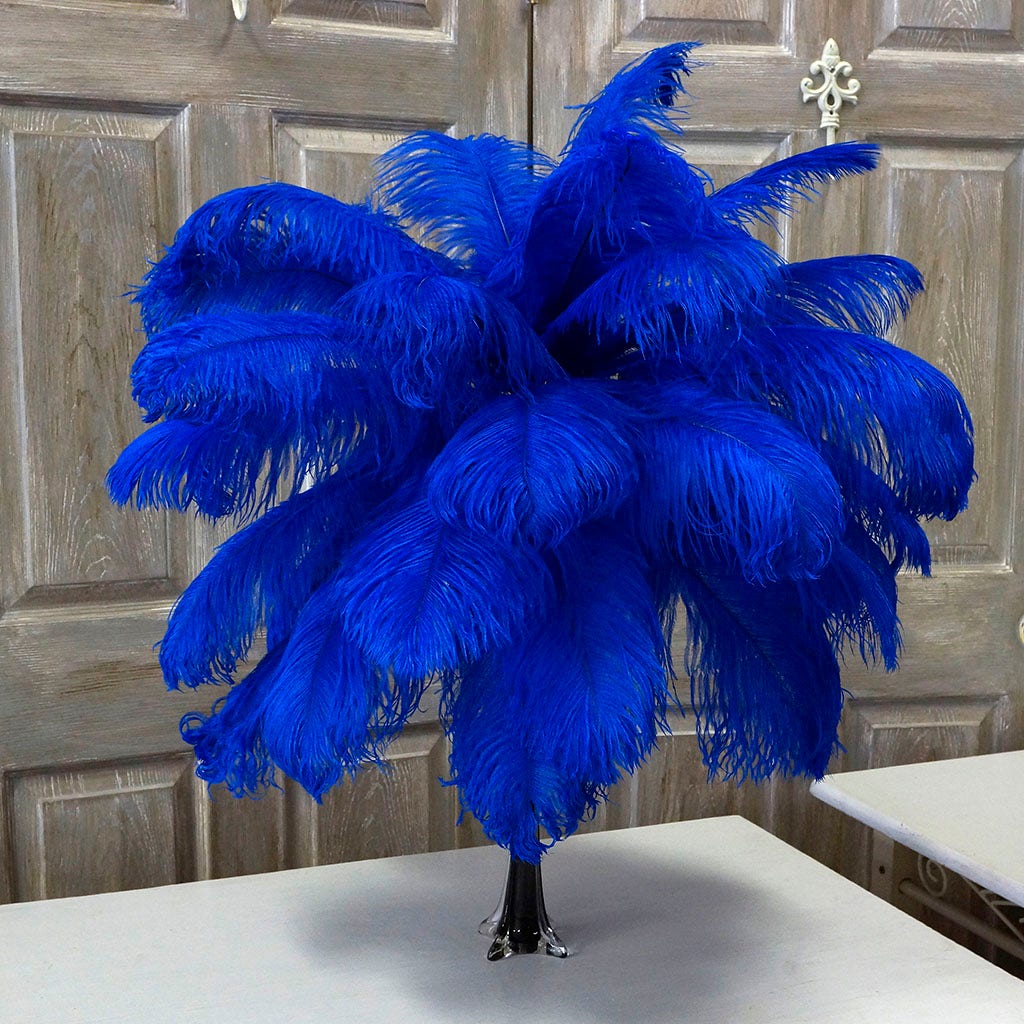 B806--RL #3 shopify:43693579370747