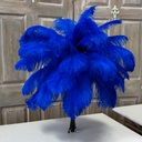 B806--RL #3 shopify:43693579370747