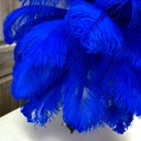 B806--RL #4 shopify:43693579862267