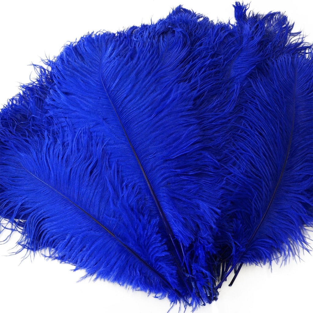 B806--RL #5 shopify:43693580910843