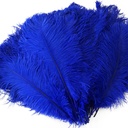B806--RL #5 shopify:43693580910843