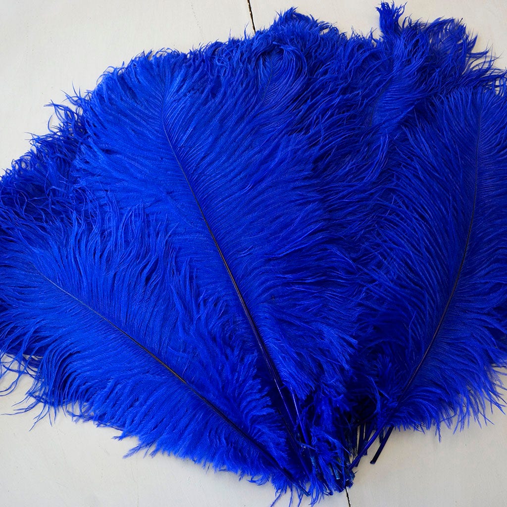 B806--RL #9 shopify:43693584384251