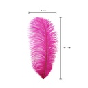 B806--SP #6 shopify:43693629702395