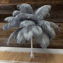 B806--SLV #2 shopify:43693648904443