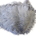 B806--SLV #7 shopify:43693653065979