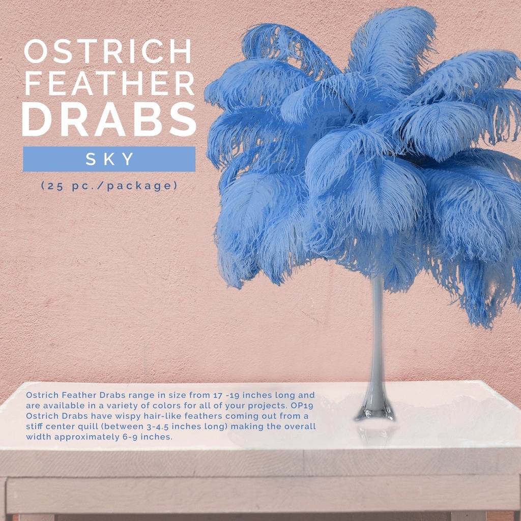 B806--SKY #6 shopify:43693624033531