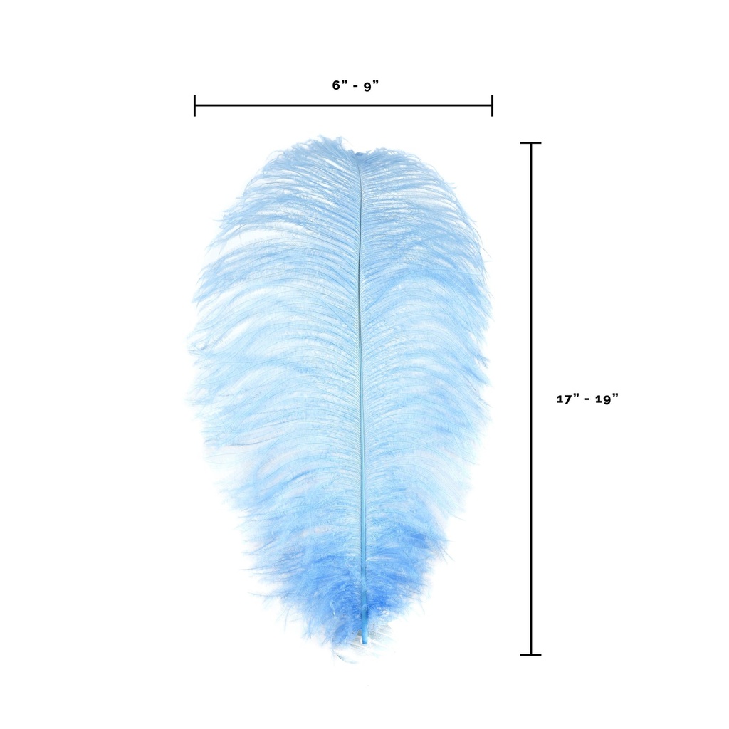 B806--SKY #7 shopify:43693625245947