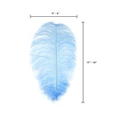 B806--SKY #7 shopify:43693625245947