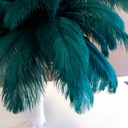 B806--TE #4 shopify:43693559087355