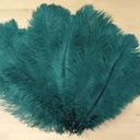 B806--TE #5 shopify:43693560103163