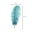 B806--TE #7 shopify:43693562626299