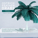 B806--TE #8 shopify:43693563543803