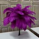 B806--VB #3 shopify:43693666926843