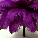 B806--VB #4 shopify:43693667942651