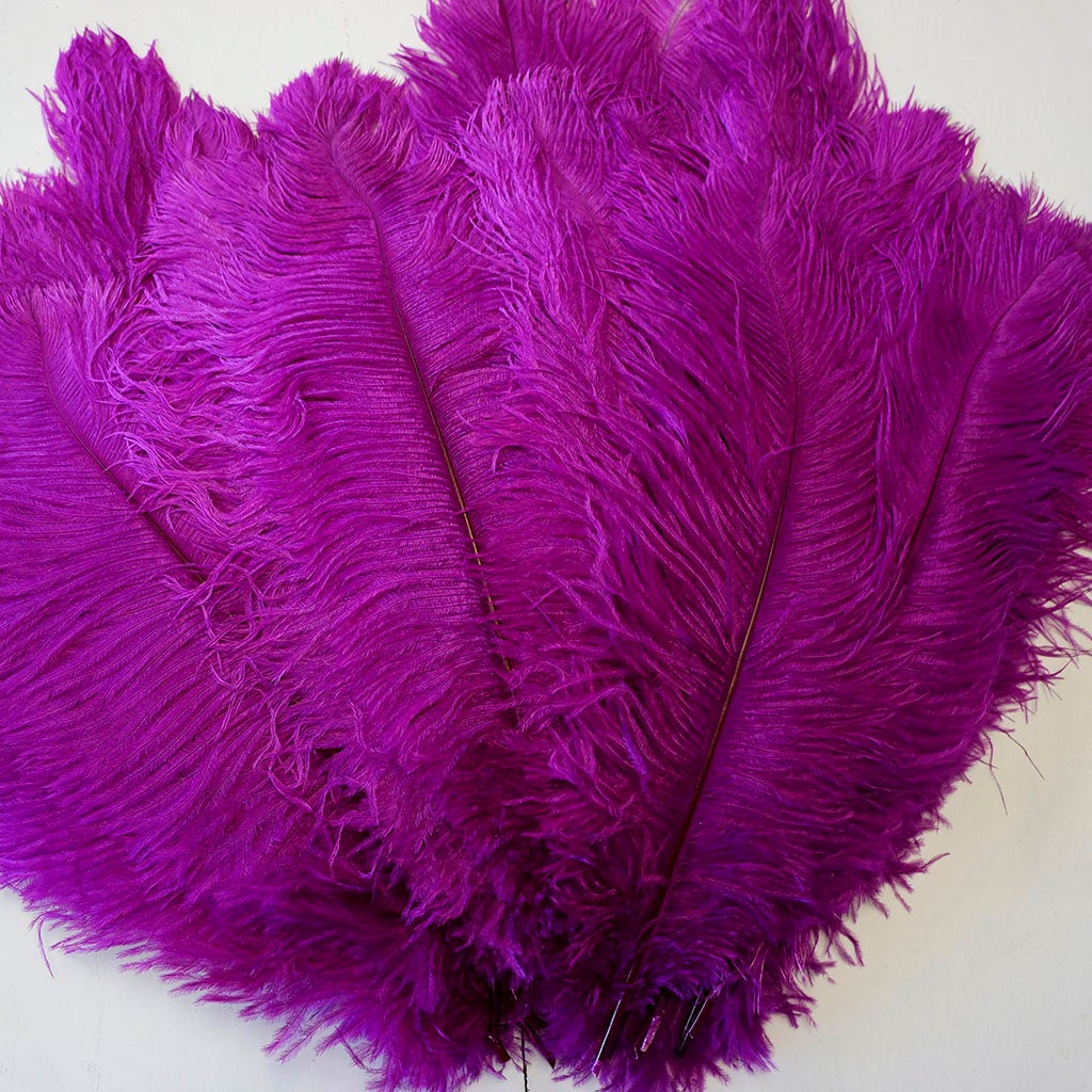 B806--VB #5 shopify:43693668892923