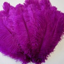 B806--VB #5 shopify:43693668892923